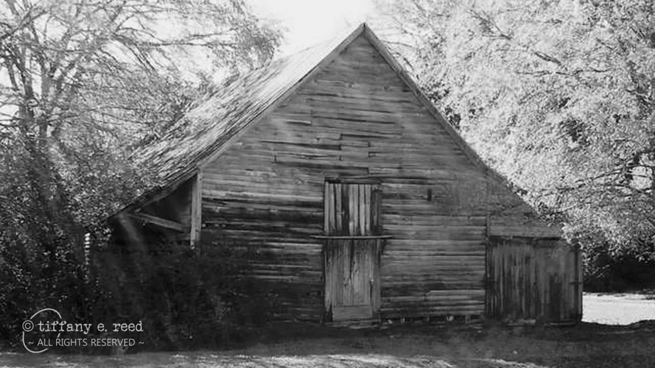 BW5-Barn.jpg