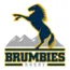 brumbies.png