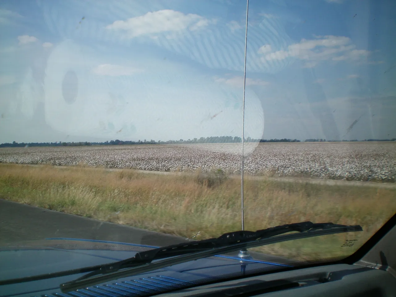 100_0007.JPG