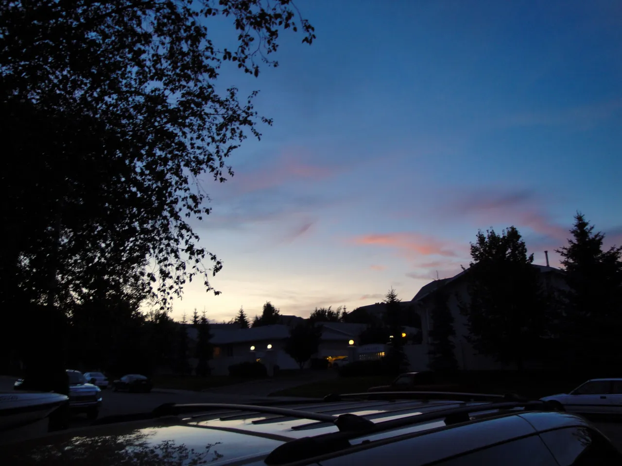 DSC00461.JPG
