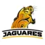 jaguares.png