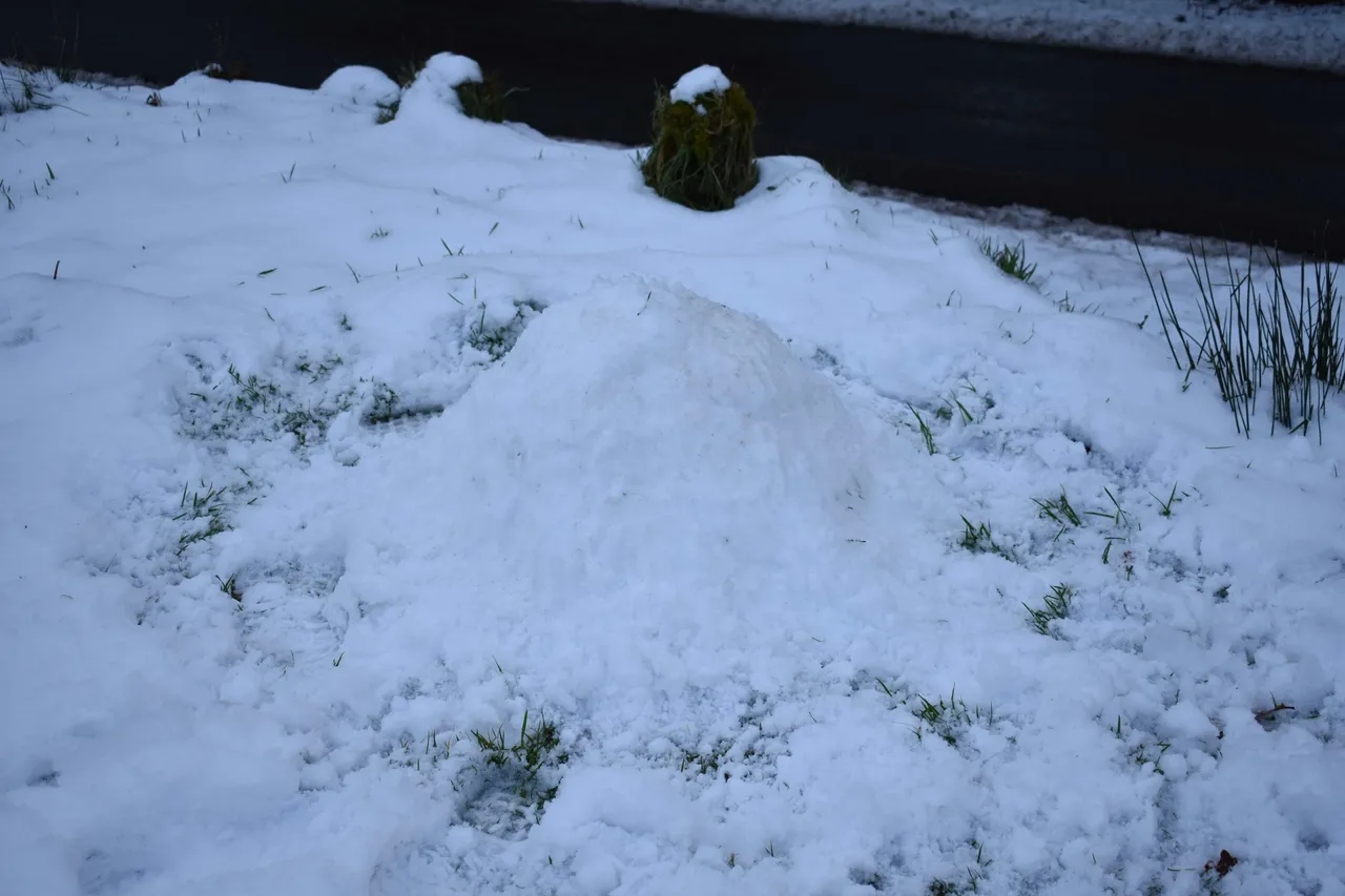 DSC_4541.jpg
