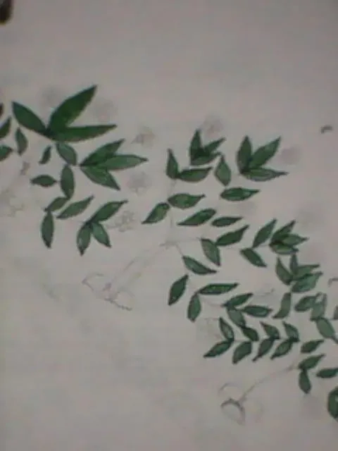 IMG0031A.jpg