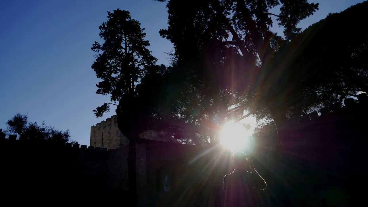 P1030637.JPG
