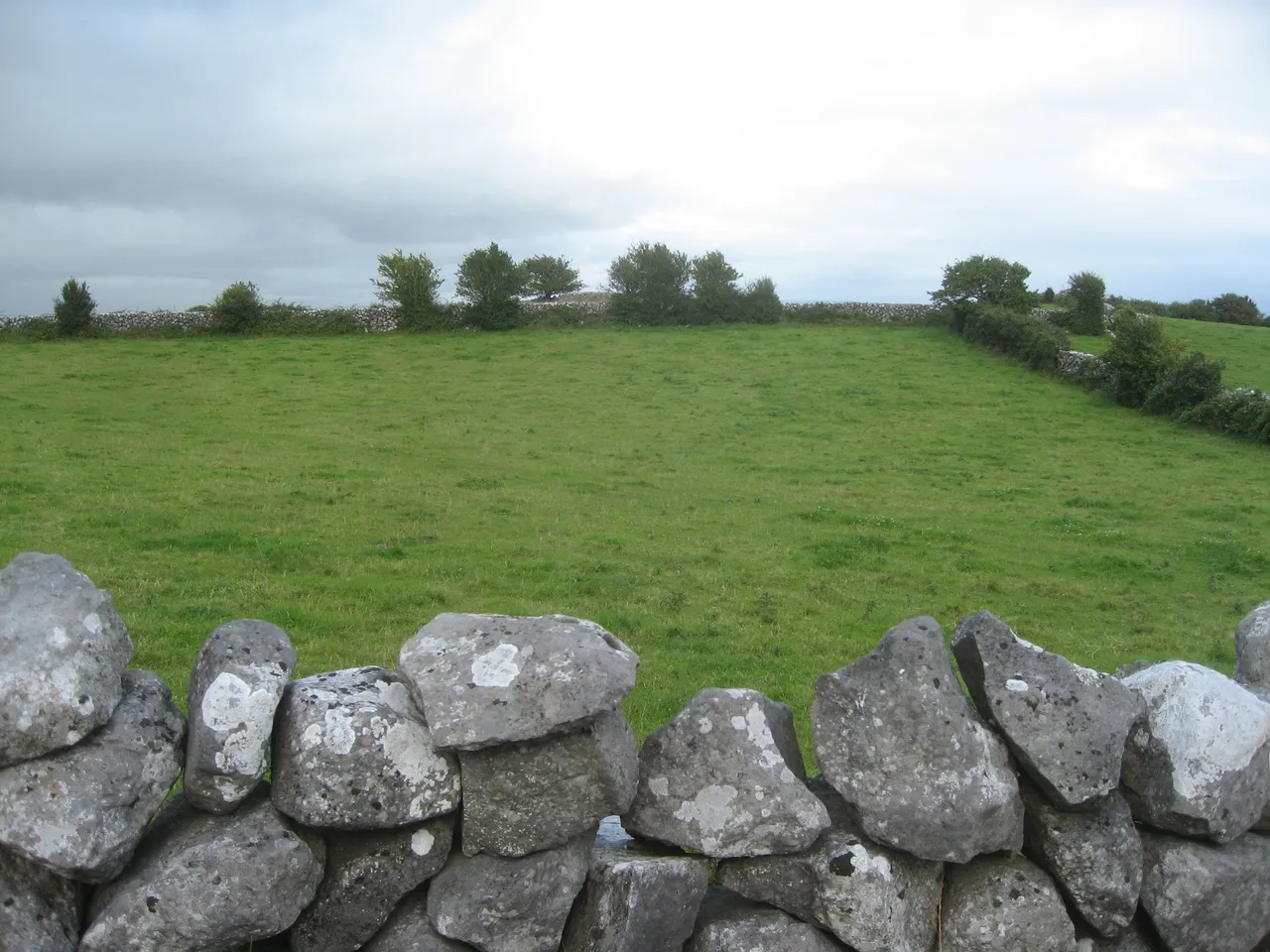 main_image