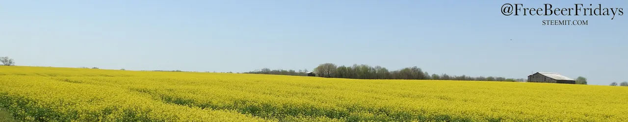 DSCN2286.jpg
