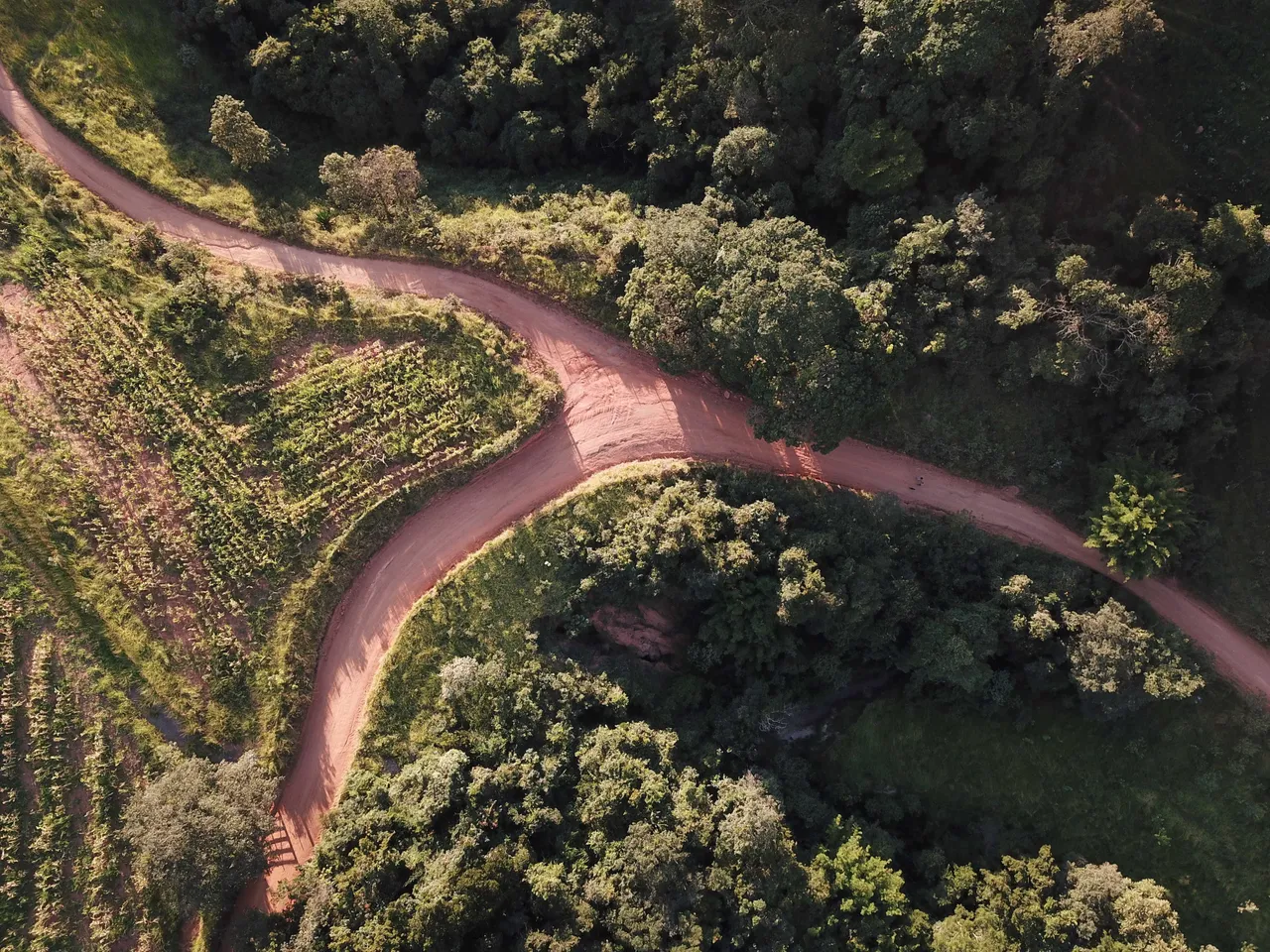 DJI_0143.jpg