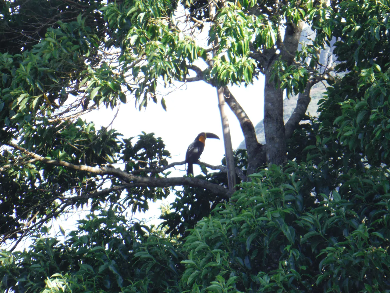 DSCF0729.JPG