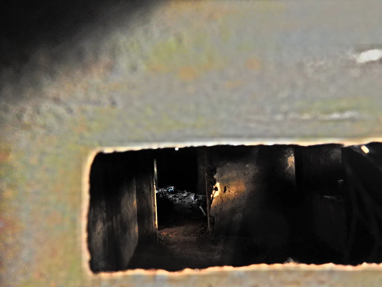 FSCN1902.JPG