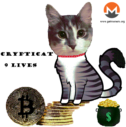 9lives-4.gif