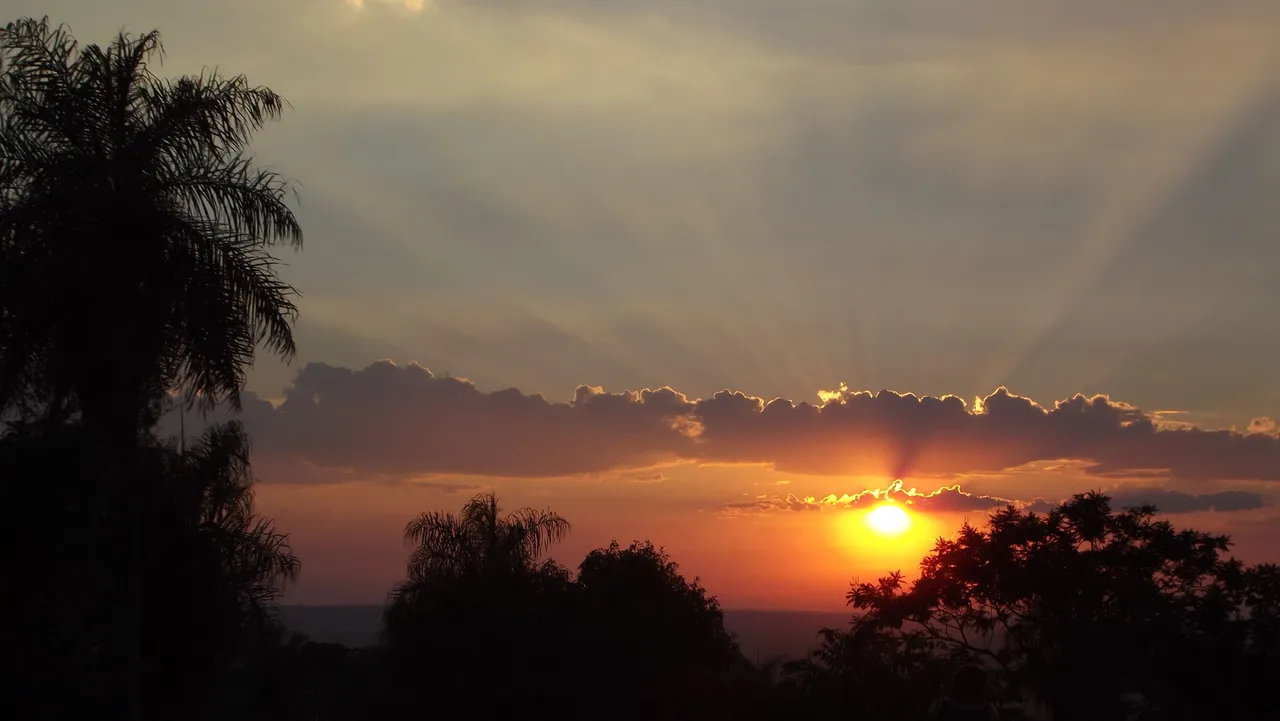 DSCF2277.JPG