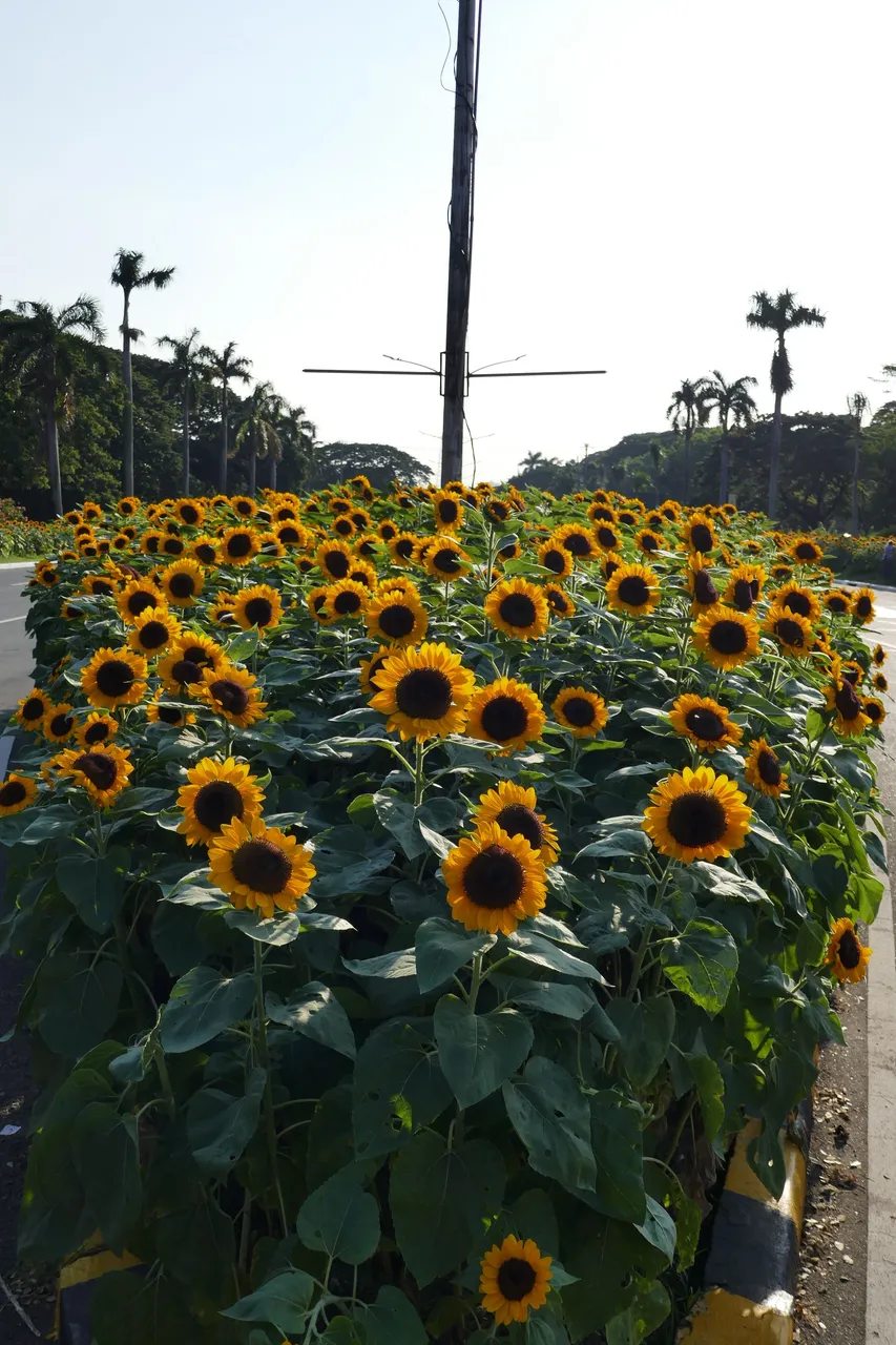 P1010059.JPG