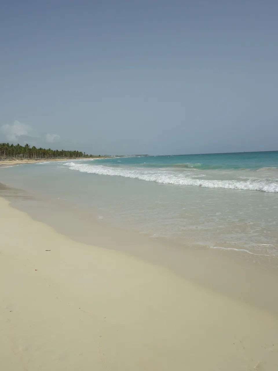 DSC08402.JPG