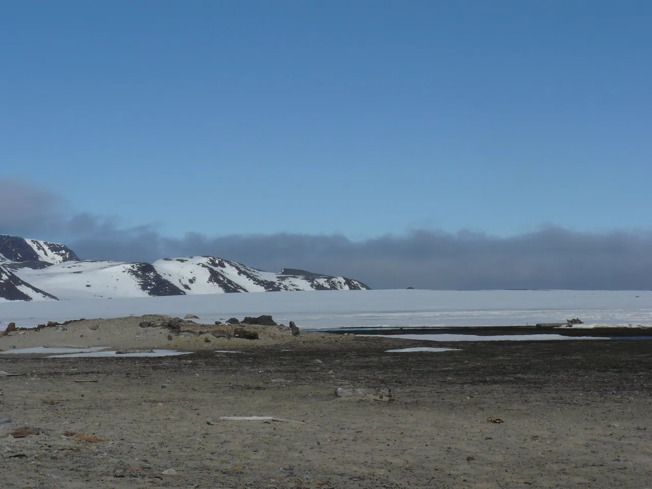 P1000591.JPG