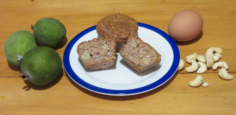 feijoas0.jpg