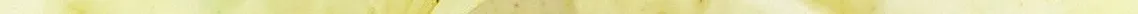 yelstrip.jpg