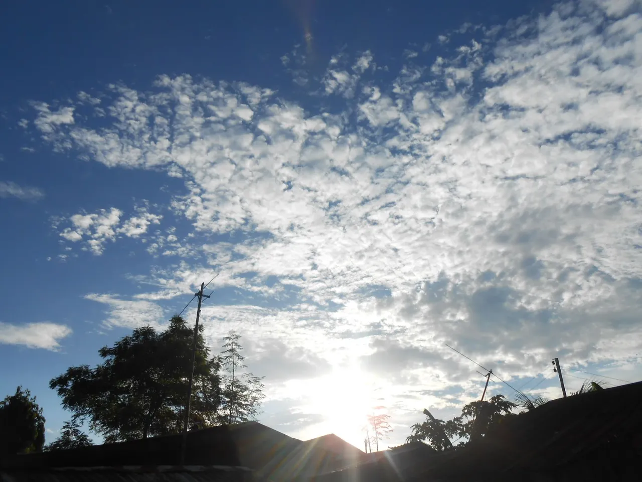 DSCN1524.JPG
