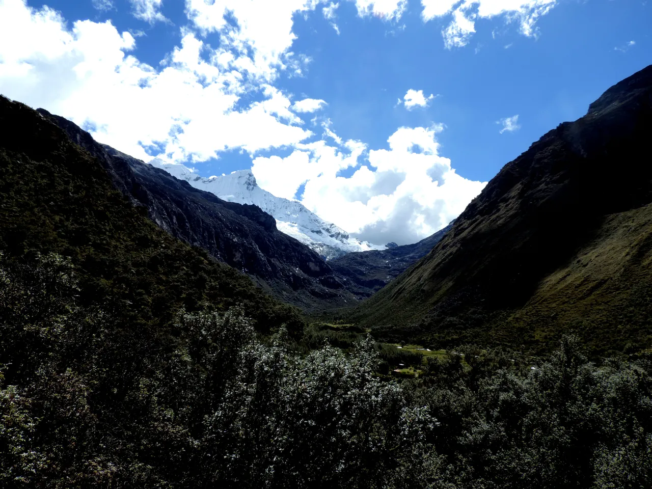 DSCN9533.jpg