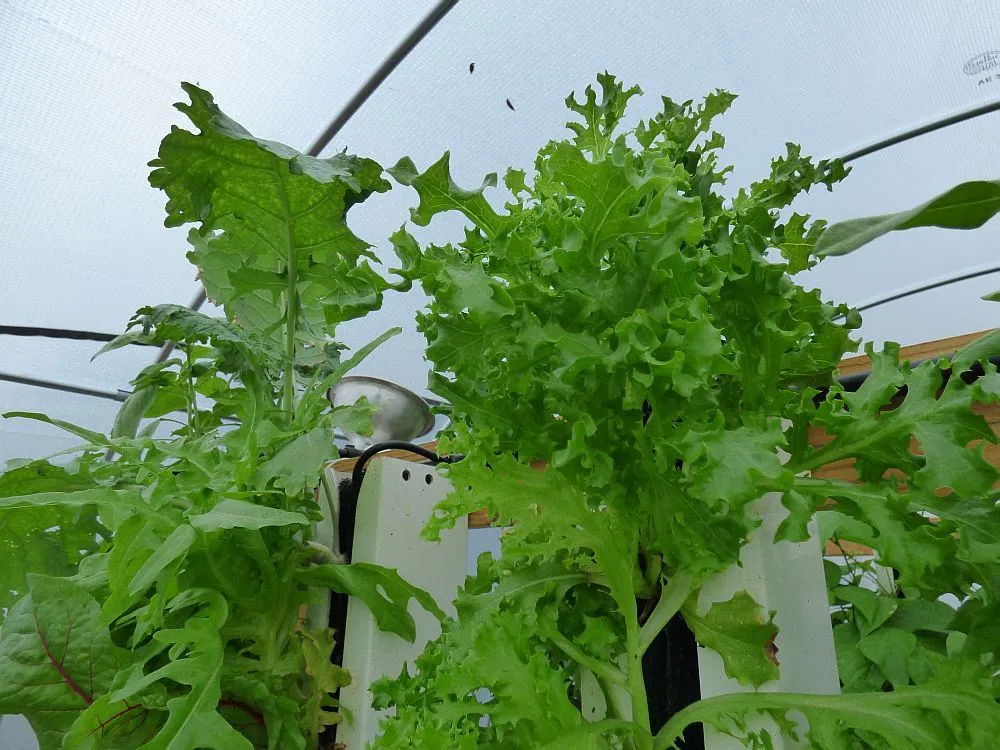 P1020329.jpg
