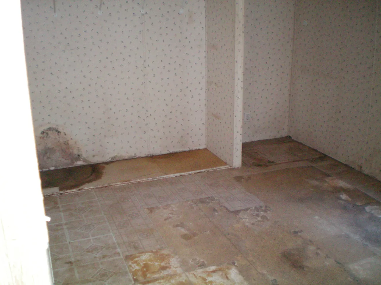 100_0050.JPG