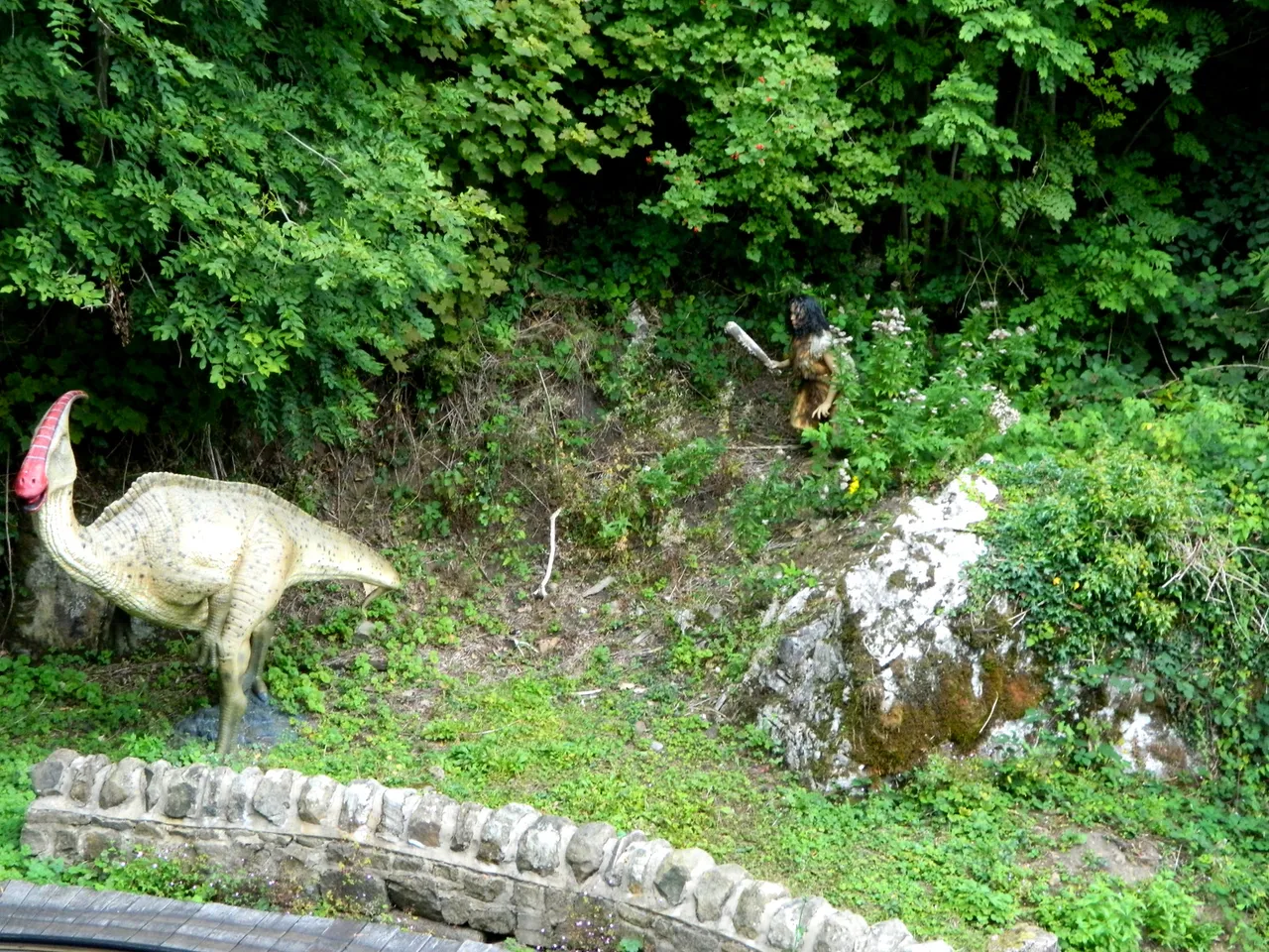 DSCN1356.JPG