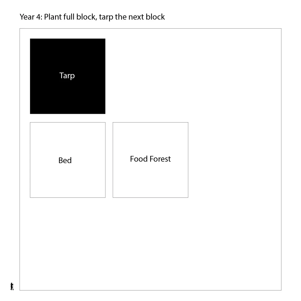 Year 4.png