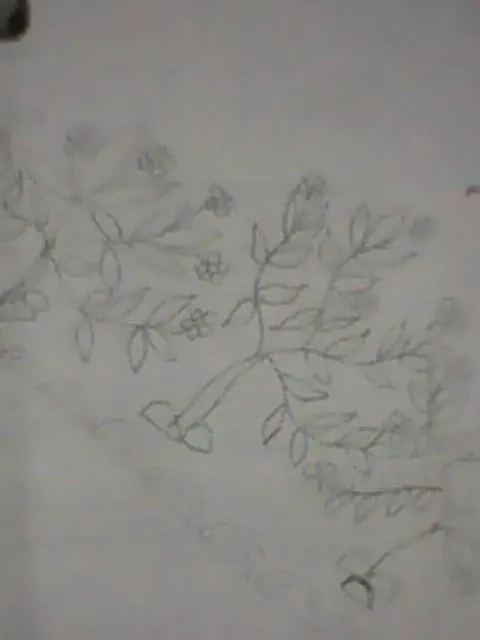 IMG0030A.jpg
