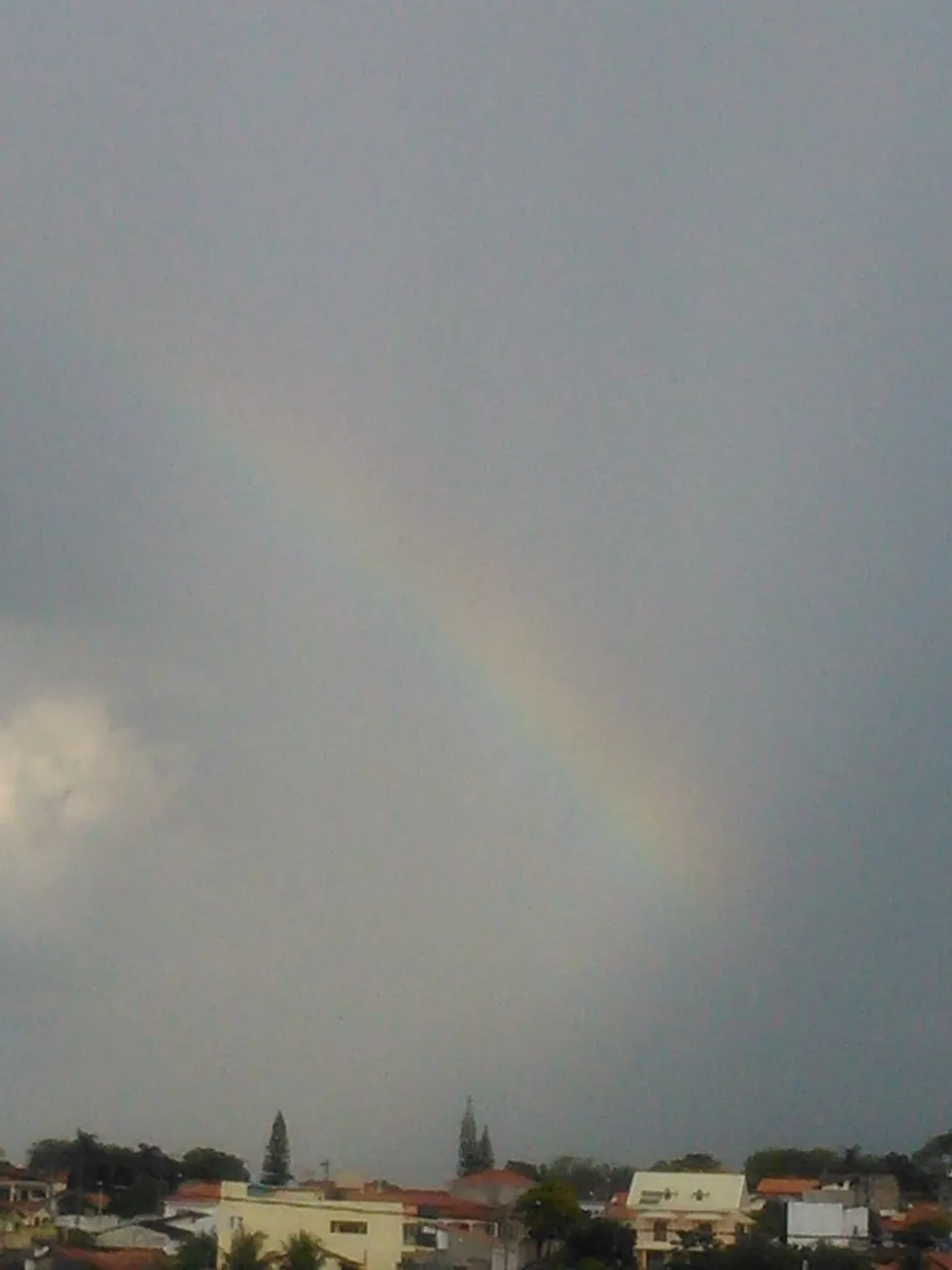 DSC_0374.jpg