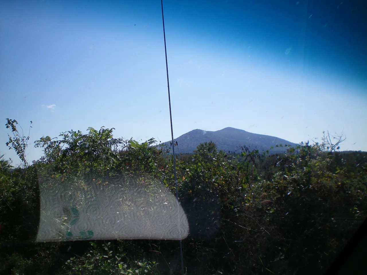 100_0004.JPG