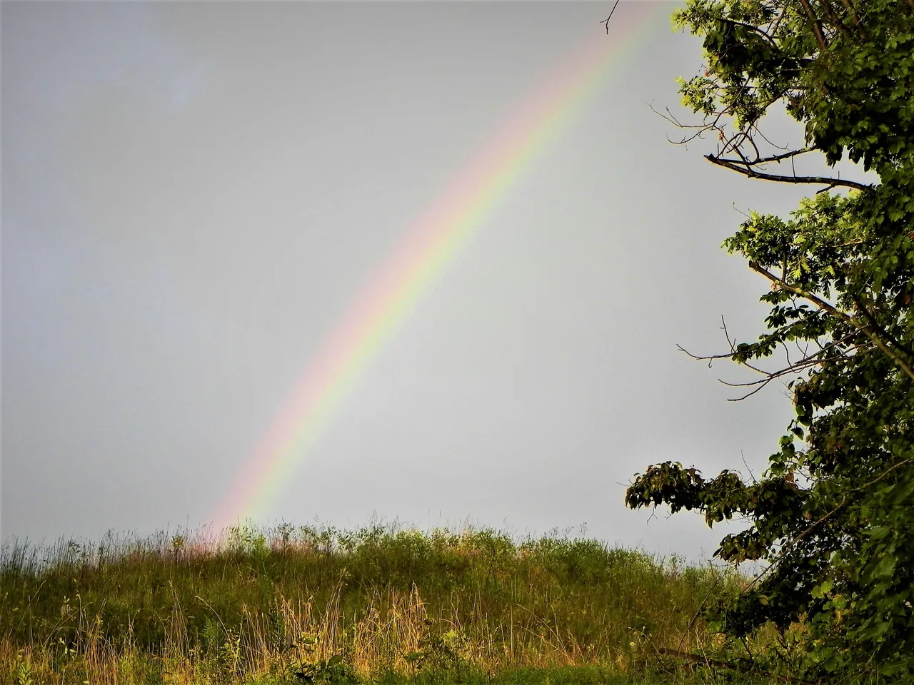 DSCN4524.JPG