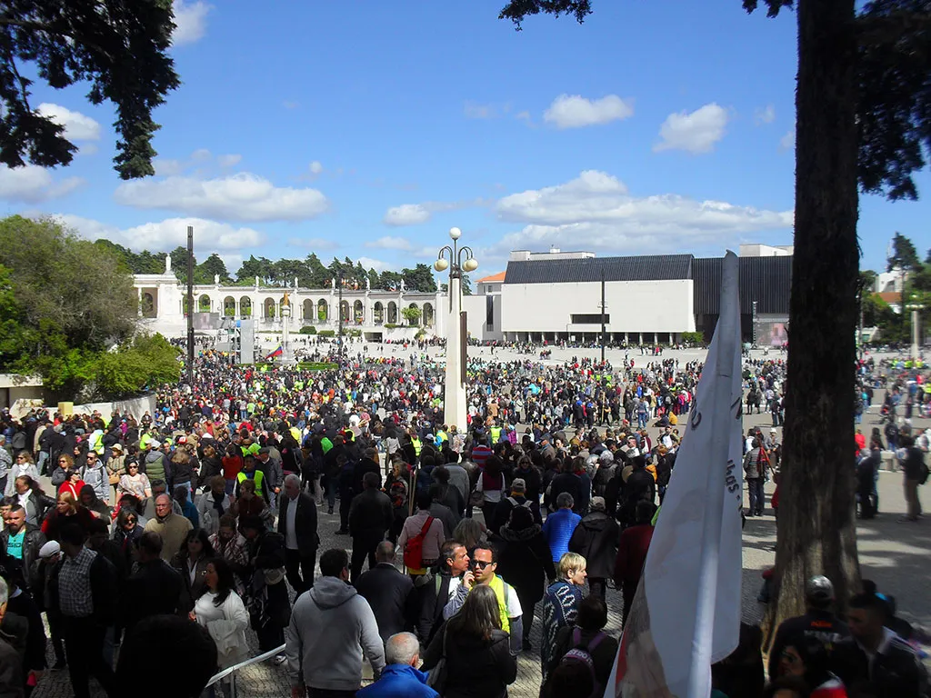 SDC11543.jpg