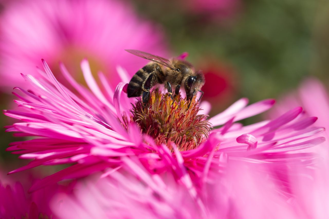 DSC_7938.jpg