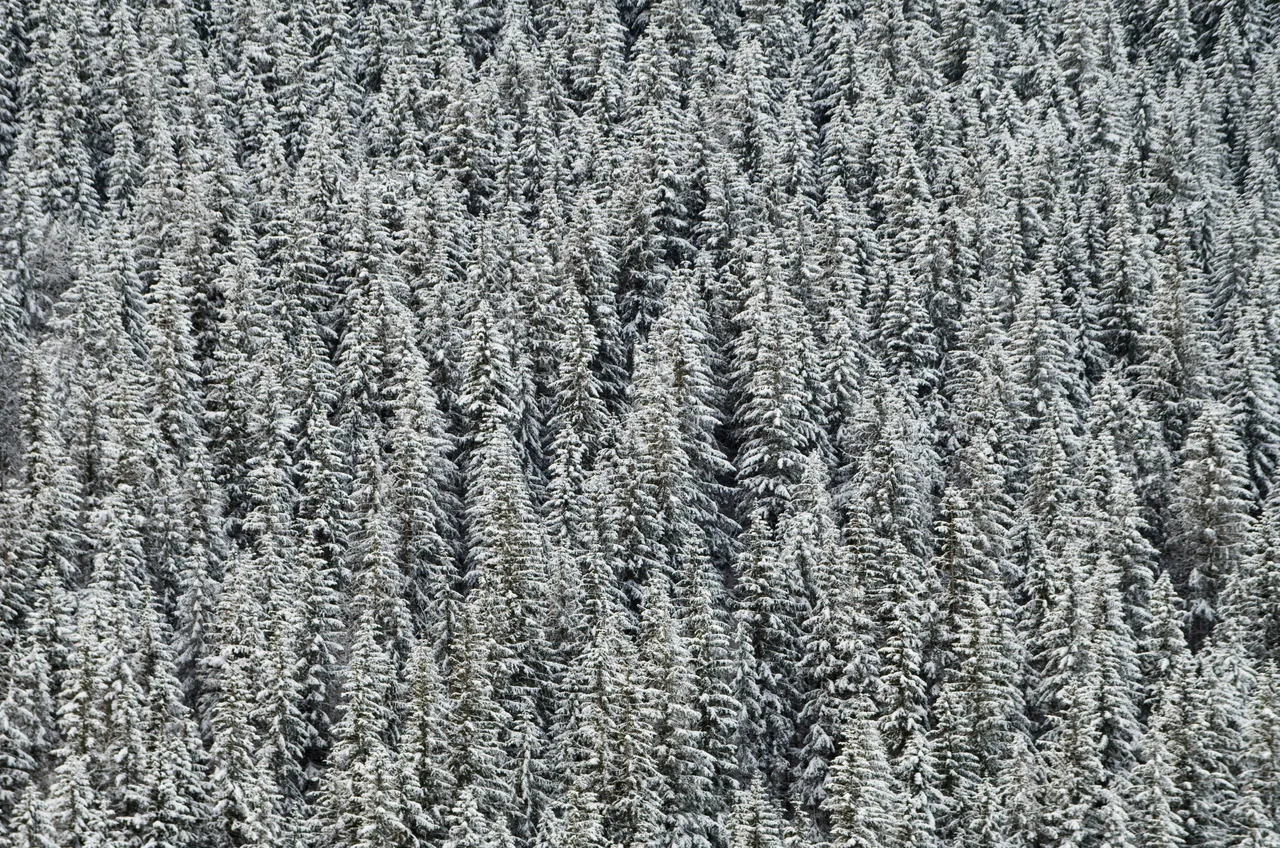 IMGP3217.JPG
