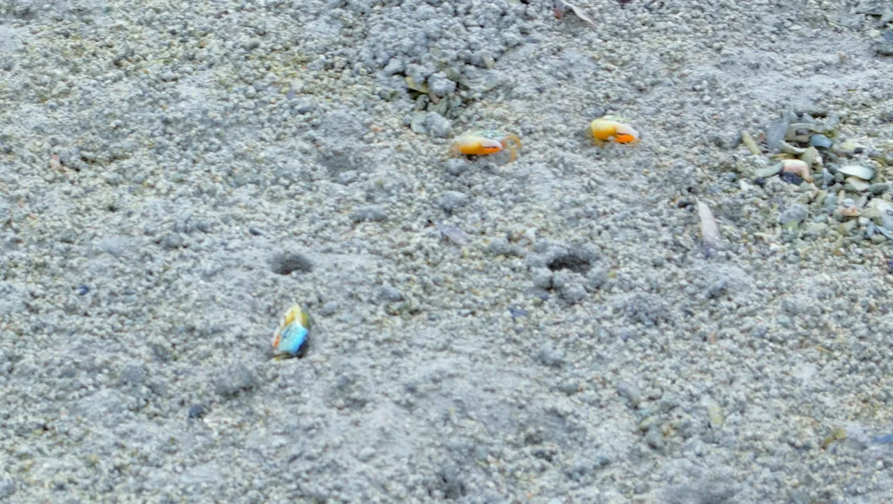 DSC_3823.jpg