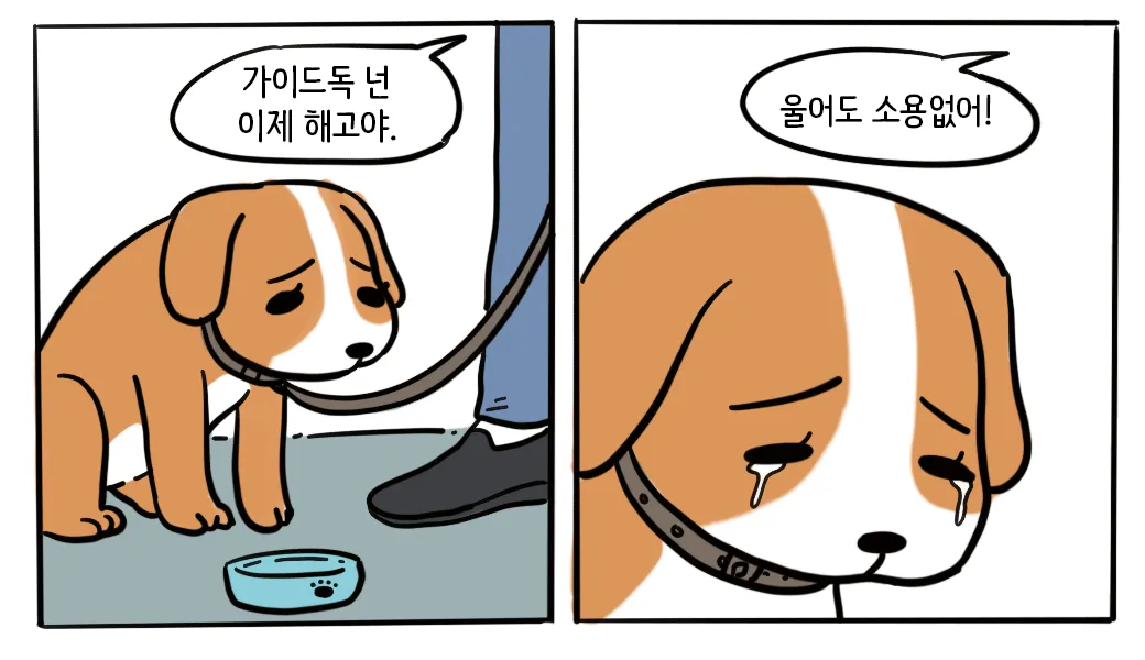 guidedog.png