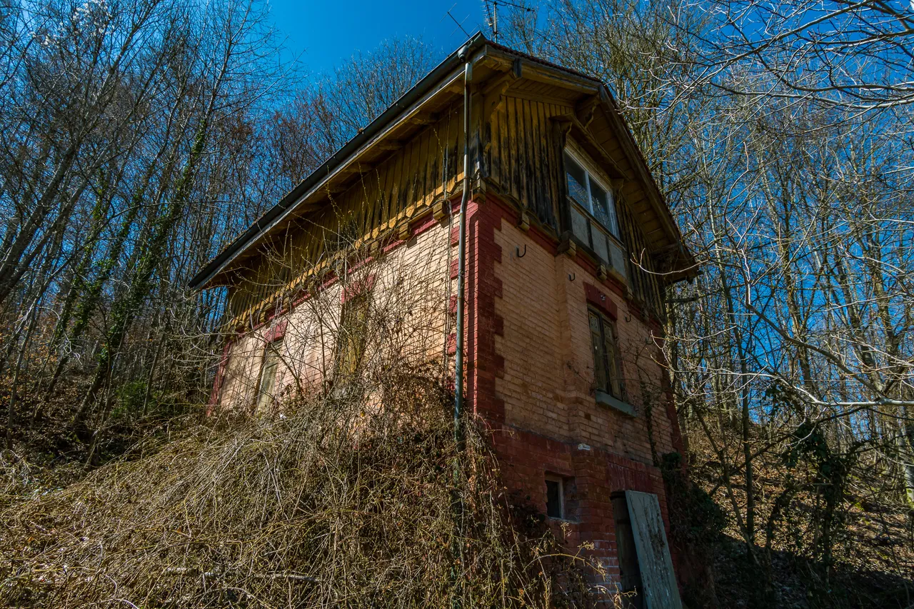 DSC06902.jpg