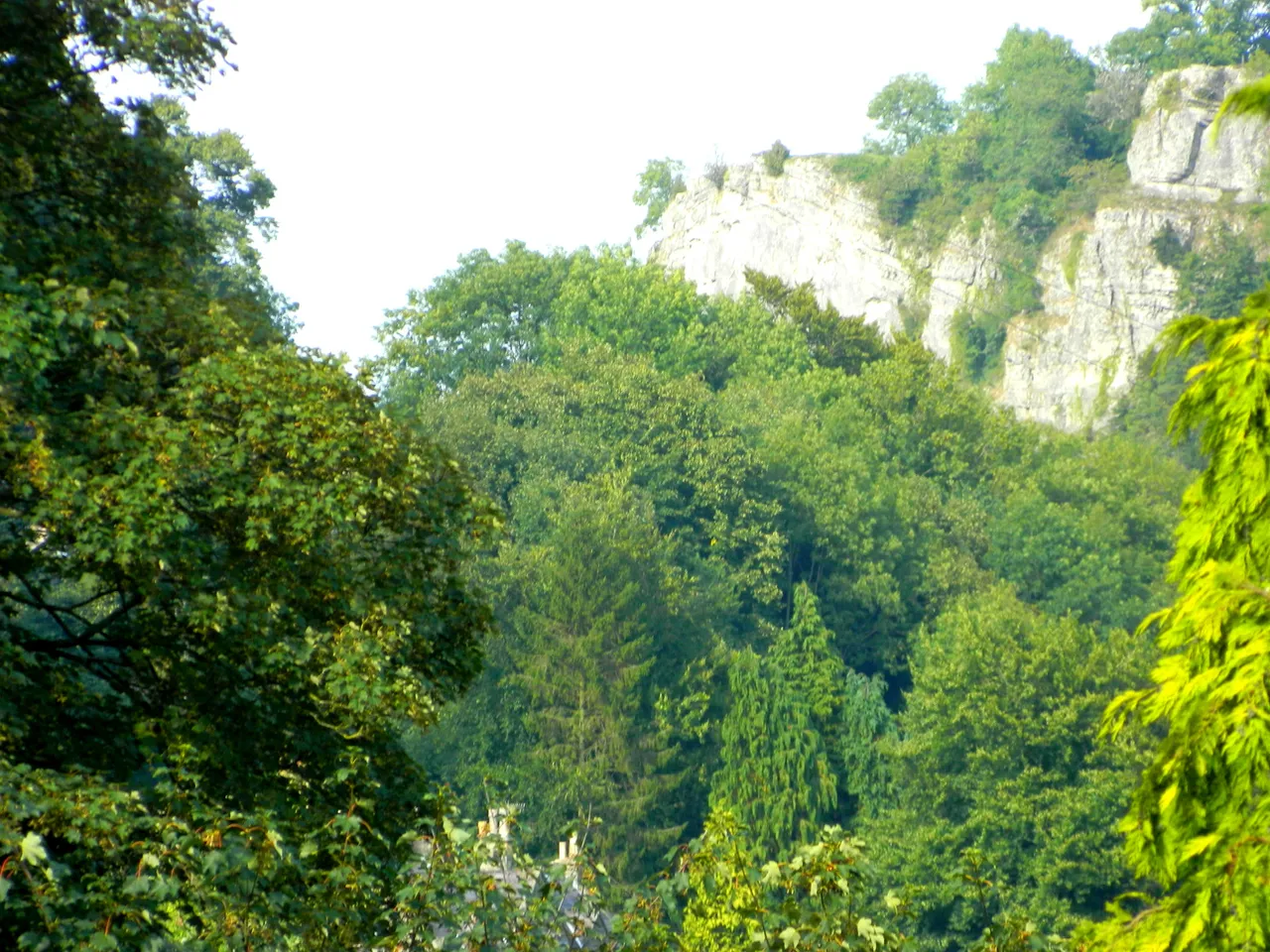 DSCN1347.JPG