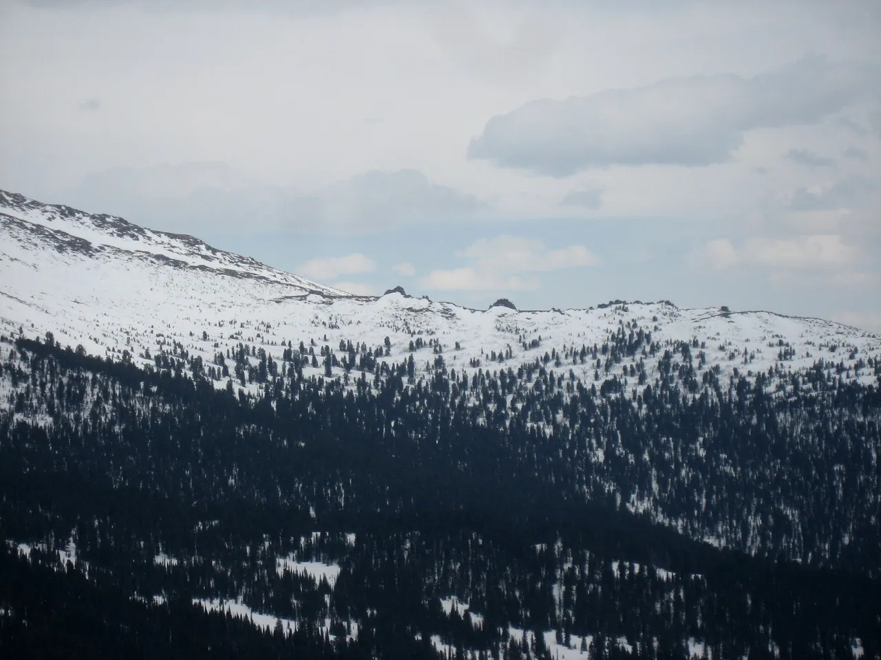 IMG_3290.JPG