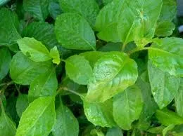 images-3.jpg
