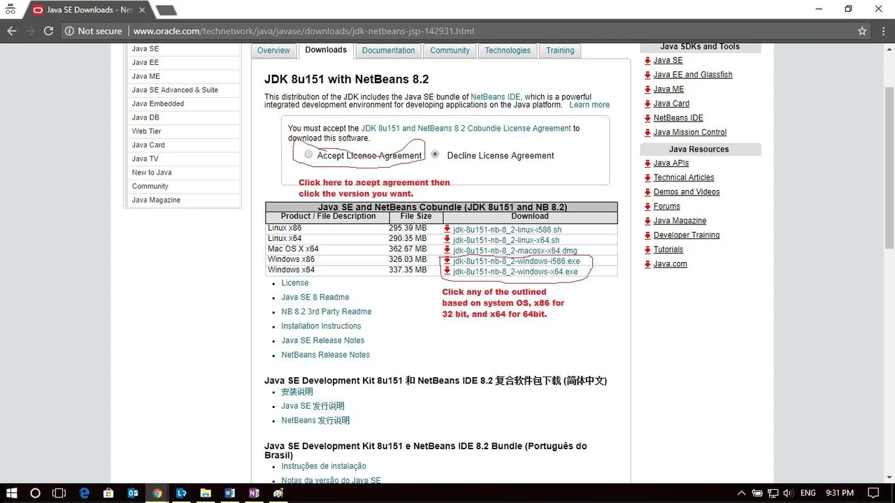 netbean1.jpg