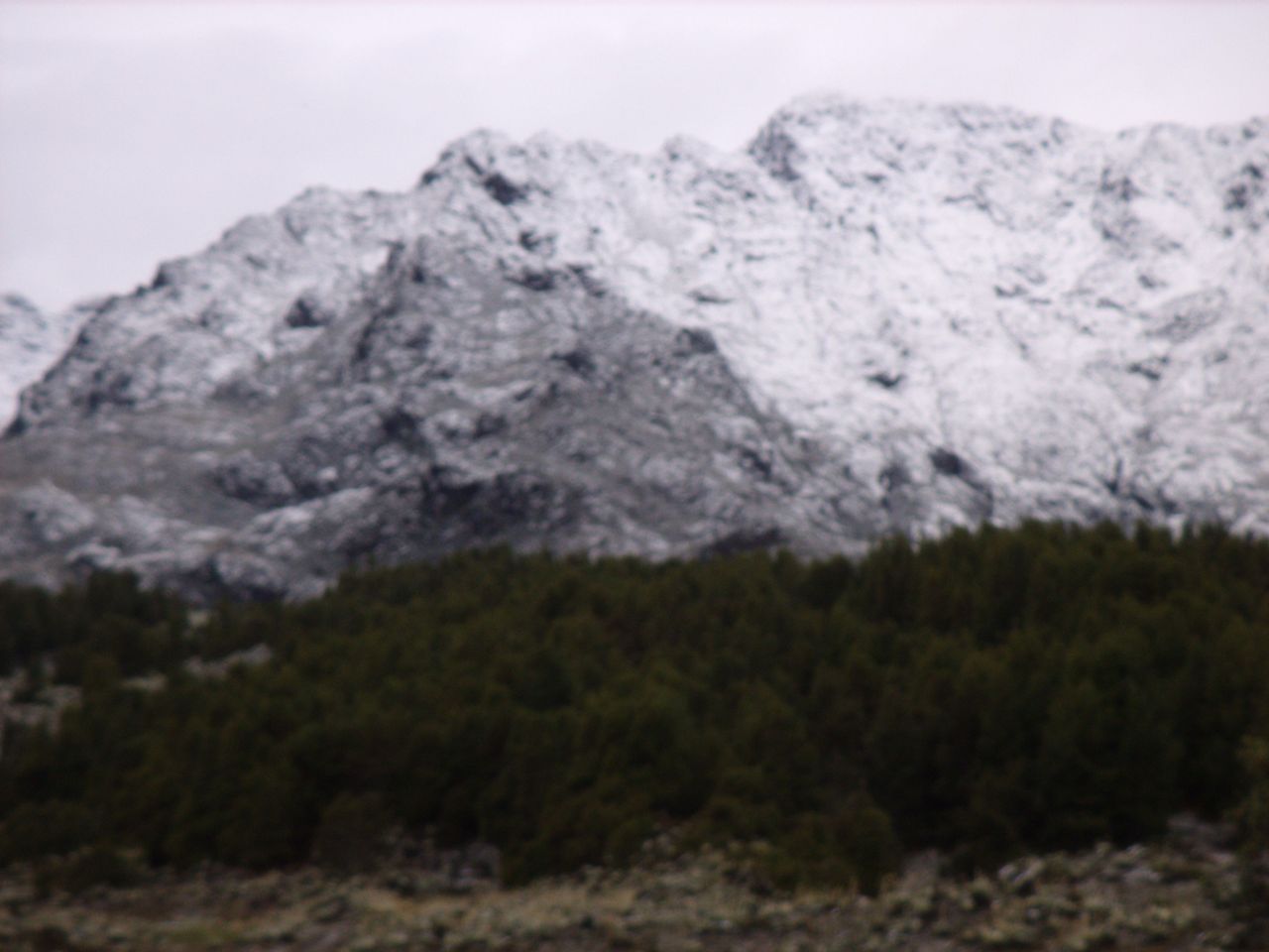 GEDC0638.JPG