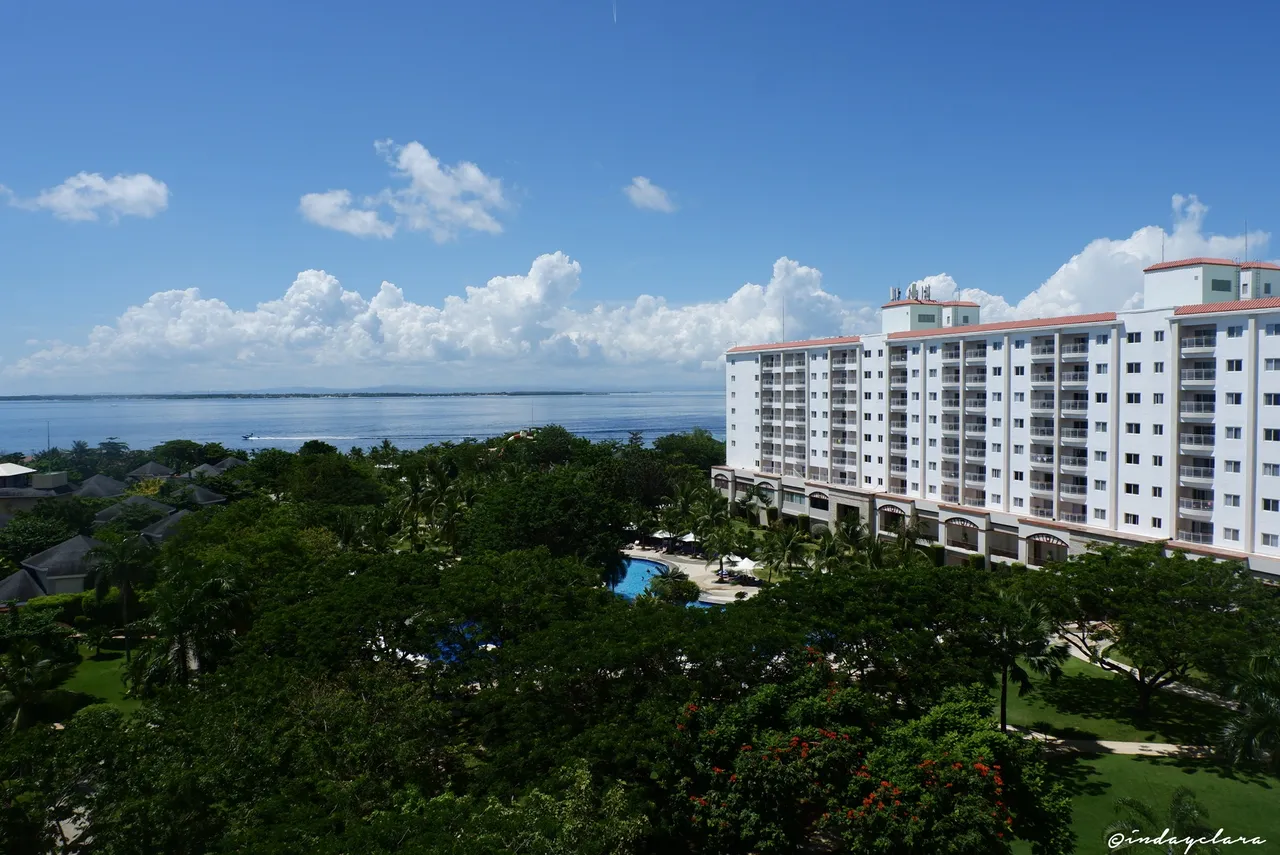 DSCF2154.JPG