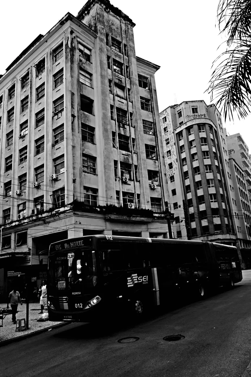 DSC09055.JPG