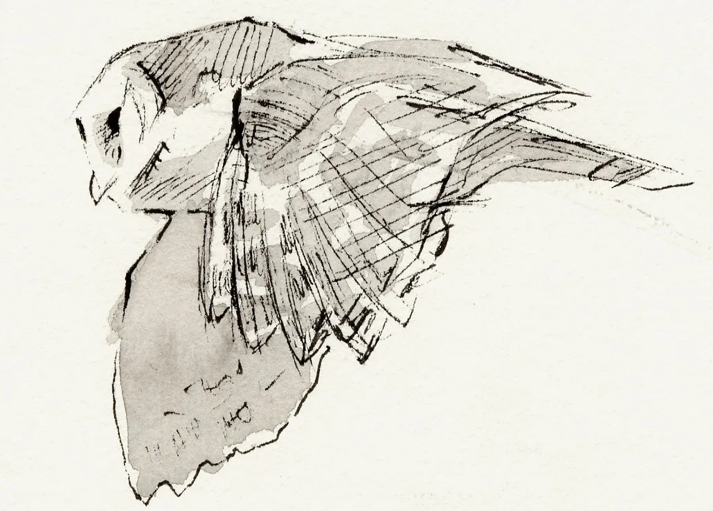 ink87894.jpg