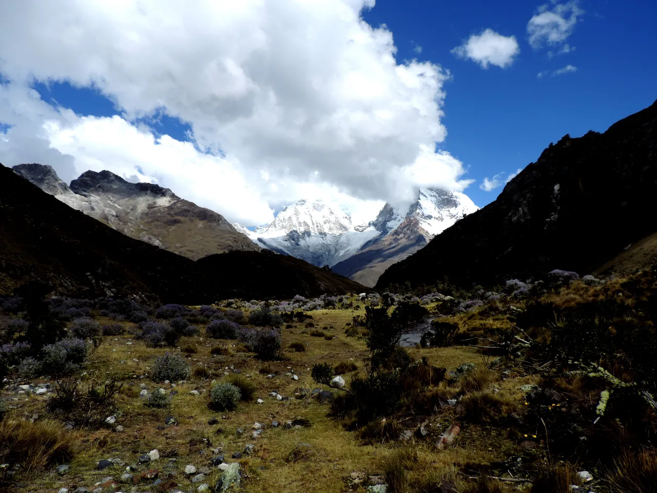 DSCN9559.jpg