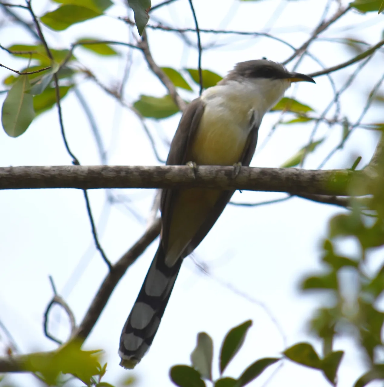 DSC_6769.jpg