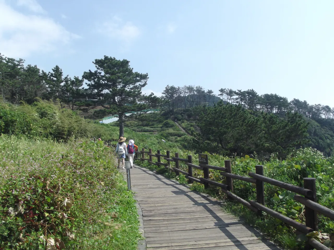 DSCF2143.JPG