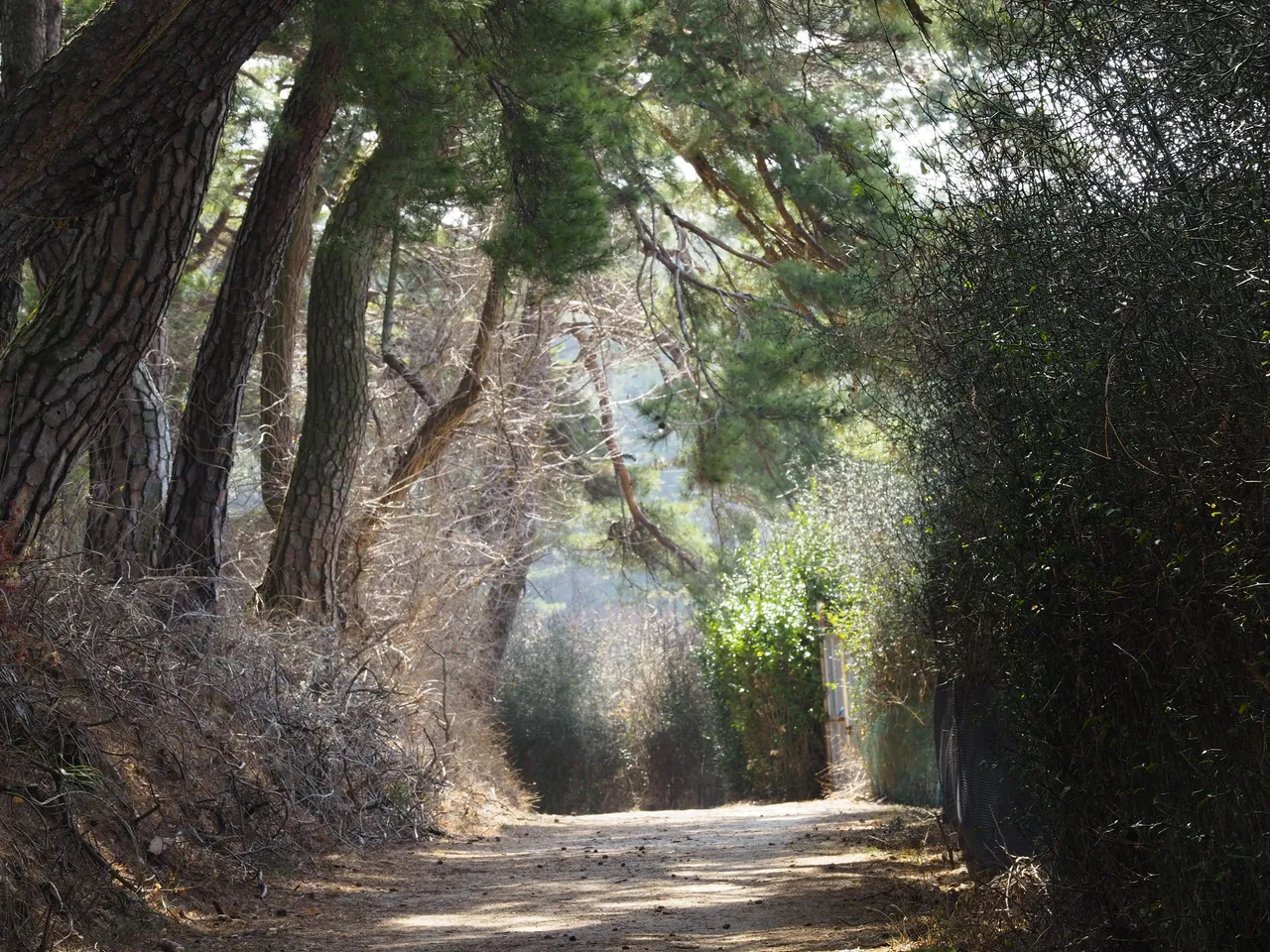 _3110941.JPG