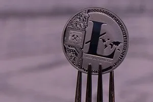 ltccfork.jpg