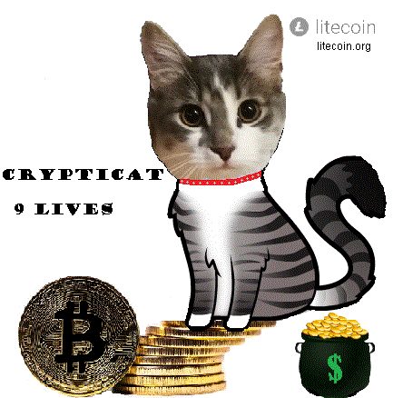 9lives-2.gif